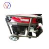 موتور برق دیانا 3KW مدل RZ-4600EW